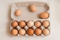 Beige chicken eggs in a carton. Vegetarian natural eco products. Food Gradient