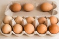 Beige chicken eggs in a carton. Vegetarian natural eco products. Food Gradient