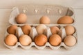 Beige chicken eggs in a carton. Vegetarian natural eco products. Food Gradient