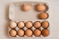 Beige chicken eggs in a carton. Vegetarian natural eco products. Food Gradient