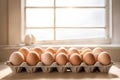 chicken eggs same size in cardboard packaging on empty table in sunlight from window Royalty Free Stock Photo