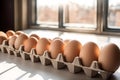 Beige chicken eggs same size in cardboard packaging on table Royalty Free Stock Photo