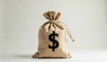 Beige Cloth Bag with Dollar Sign. Generative AI Royalty Free Stock Photo