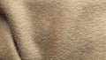 Beige coat fabric, alpaca. Texture of warm wool fabric. Natural wool, beige wool pile fabric.