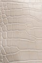 Beige color reptile leather texture Royalty Free Stock Photo