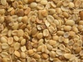 Roasted Coriander seeds Royalty Free Stock Photo