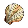 Beige colored seashell. Hand drawn vector illustration of underwater scallop shell. Nautical element isolated on white background