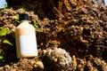 Cosmetic bottle in the bark of a tree Royalty Free Stock Photo