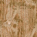 Beige Crackle Paint. Worn Broken Texture. Ancient Royalty Free Stock Photo