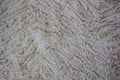 Beige curly soft and artistic fur textured background with waves Royalty Free Stock Photo