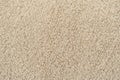 Beige  curly wool seamless texture background. texture with short factory material Royalty Free Stock Photo