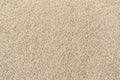 Beige  curly wool seamless texture background. texture with short factory material Royalty Free Stock Photo