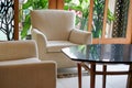 Beige cushion sofa chair armchair in living room