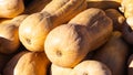 Beige decorative pumpkins at straw in sunlight autumn background, selective focus, shallow DOF Royalty Free Stock Photo