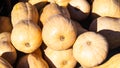 Beige decorative pumpkins at straw in sunlight autumn background, selective focus, shallow DOF Royalty Free Stock Photo