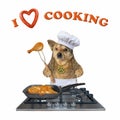 Dog cooks fried chicken on stove Royalty Free Stock Photo