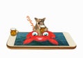 Dog on inflatable crab in phone