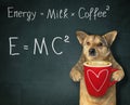 Dog with energy coffee