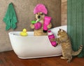 Dog takes bath with cat
