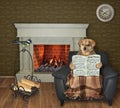 Dog reading newspaper at fireplace Royalty Free Stock Photo