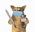 Dog with thermometer and medicine Royalty Free Stock Photo