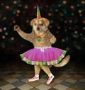 Dogicorn in ballet dancer clothes 2