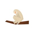 Beige gibbon sitting on wooden branch. Wild African animal. Flat vector element for promo poster or flyer of zoo park