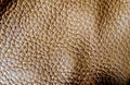 Beige Glossy Artificial Leather Background Texture. Royalty Free Stock Photo