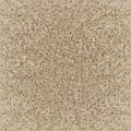 Beige golden plaster texture