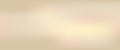Beige gradient background, warm color cream, neutral light texture, pastel gradation, blur elegant backdrop. Abstract soft