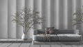 Beige and gray concrete molded plaster wall in modern luxury living room with sofa and potted tree. Cozy background with copy