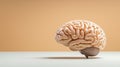 Beige Human Brain Model on Pale Surface with Orange Background Royalty Free Stock Photo