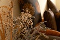 Beige interior with an antique chair and ceramic vase with dry flowers Royalty Free Stock Photo