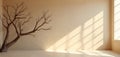 Beige interior mockup features dry tree. Minimalistic studio design with window light, shadow play. Natural backdrop ideal for Royalty Free Stock Photo