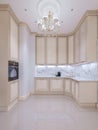 Beige kitchen in a classic modern style in the new house Royalty Free Stock Photo