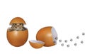 Kittens hatching from eggs Royalty Free Stock Photo