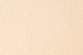 Beige Leather background texture Royalty Free Stock Photo