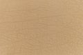 Beige leather background . Beige leather texture . Royalty Free Stock Photo