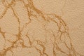Beige leather background . Beige leather texture Royalty Free Stock Photo