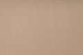 Beige leather texture background. Blank space. Colorful texture. Royalty Free Stock Photo