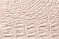 Beige leather texture background, closeup. Reptile skin, macro Royalty Free Stock Photo