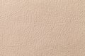 Beige leather texture background with pattern, closeup Royalty Free Stock Photo