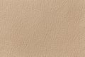 Beige leather texture background with pattern, closeup Royalty Free Stock Photo