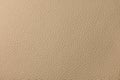 Beige leather texture Royalty Free Stock Photo