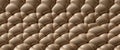 Beige Leather Upholstery Texture Royalty Free Stock Photo