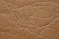 Beige leatherette texture with shiny surface. Superlative dark leatherette texture. Royalty Free Stock Photo