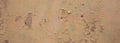 Beige light brown color, painted and faded wall texture grunge background Royalty Free Stock Photo