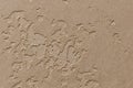 Beige light plaster background, with relief inflements