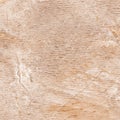 Beige marble surface with brown color texture and white vines natural marble, beige marble stone background Royalty Free Stock Photo