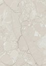 Beige Marble Texture with Intricate Veins and Natural Stone Pattern Royalty Free Stock Photo